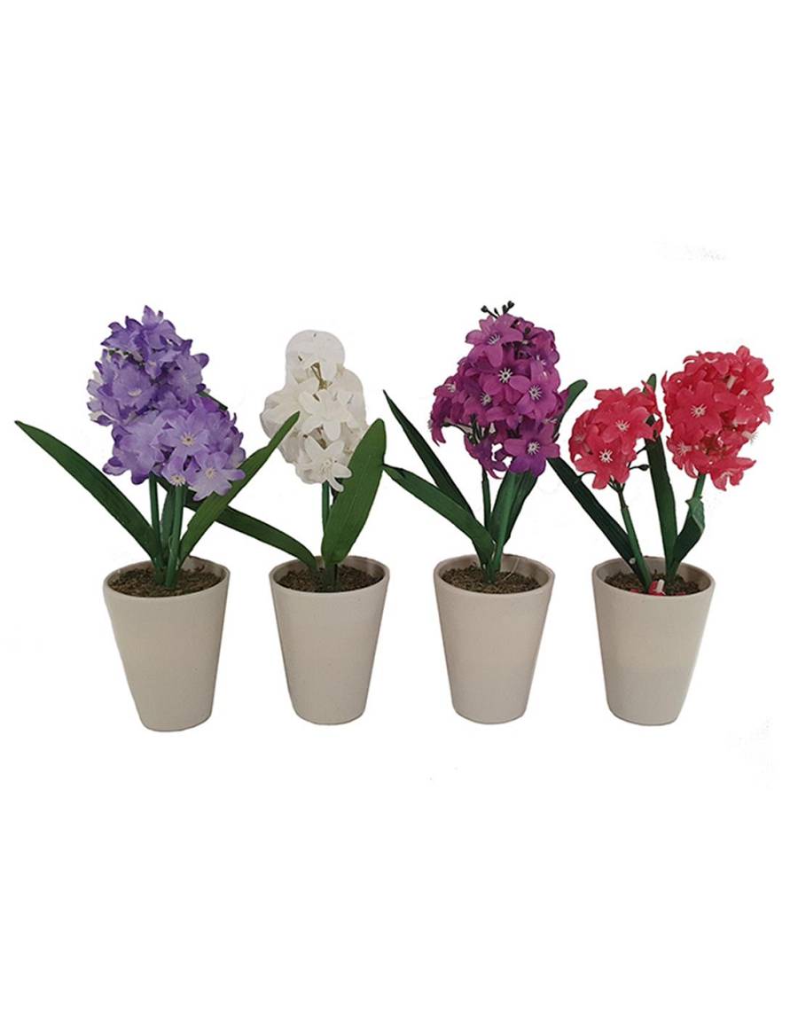 Ζουμπούλι σε κασπώ 4χρ. 23εκ.