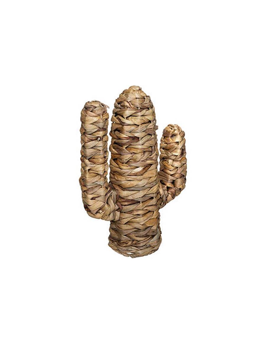 Κάκτος διακοσμ.υδροϋάκυνθος 24x11x34cm