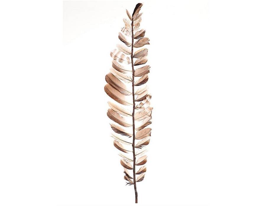 Κλαδί με πούπουλα Η80cm