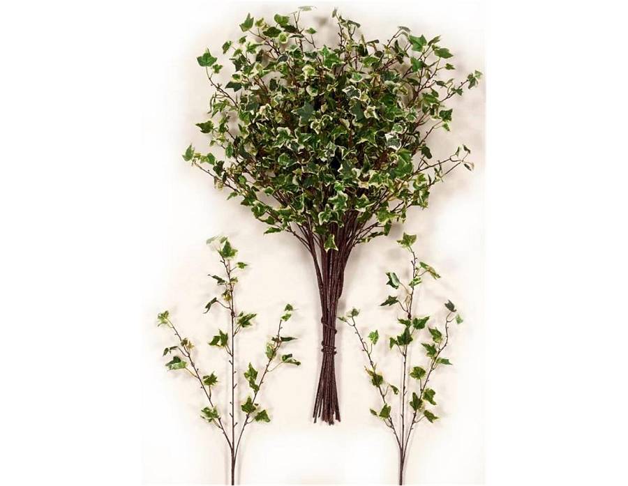 Κλαδί κισσός δίχρωμος 80cm