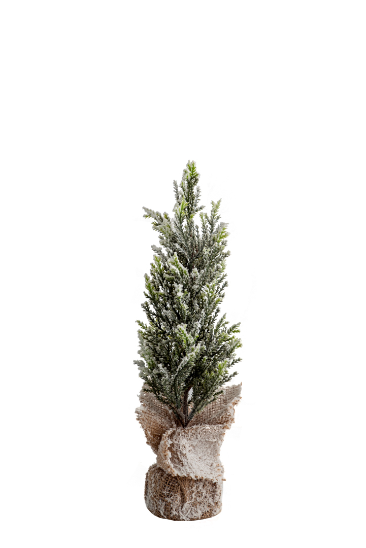 ΧΡΙΣΤΟΥΓΕΝΝΙΑΤΙΚΑ ΔΕΝΤΡΟ ΧΙΟΝΙΣΜΕΝΟ 35ΕΚ ΣΕ ΤΣΟΥΒΑΛΑΚΙ