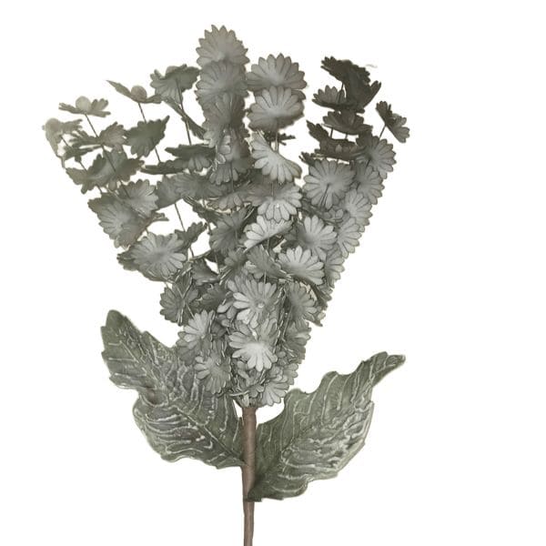 ΚΛΑΔΙ ΜΕ ΛΟΥΛΟΥΔΙΑ ΓΚΡΙ-ΚΑΦΕ