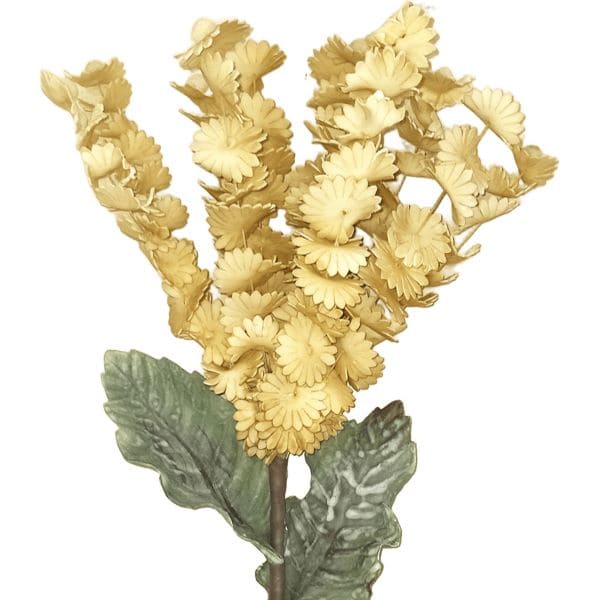 ΚΛΑΔΙ ΜΕ ΛΟΥΛΟΥΔΙΑ ΜΠΕΖ