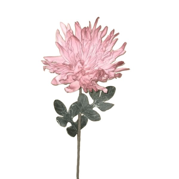 ΛΟΥΛΟΥΔΙ ΡΟΖ