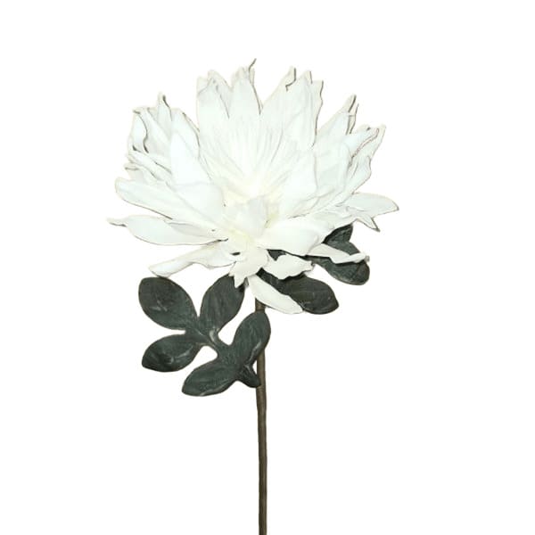 ΛΟΥΛΟΥΔΙ ΛΕΥΚΟ