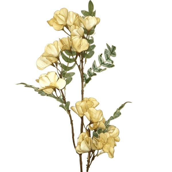 ΚΛΑΔΙ ΜΕ ΛΟΥΛΟΥΔΙΑ ΜΠΕΖ