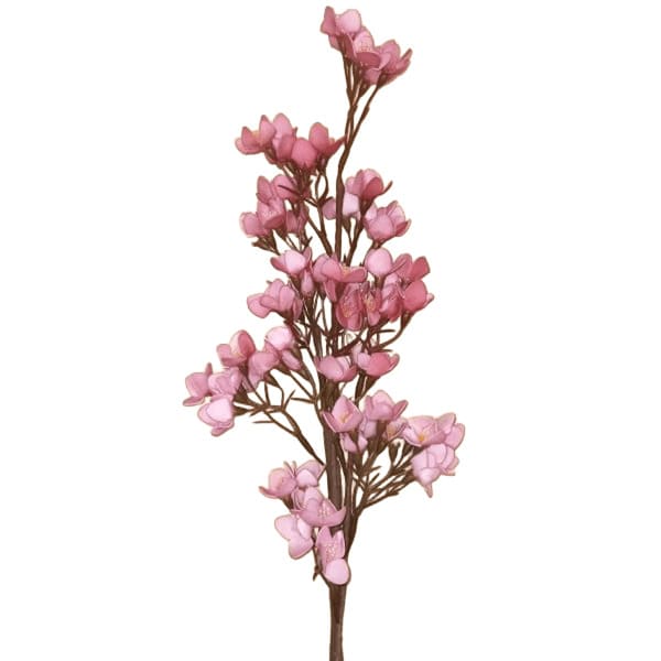 ΚΛΑΔΙ ΜΕ ΛΟΥΛΟΥΔΙΑ ΡΟΖ