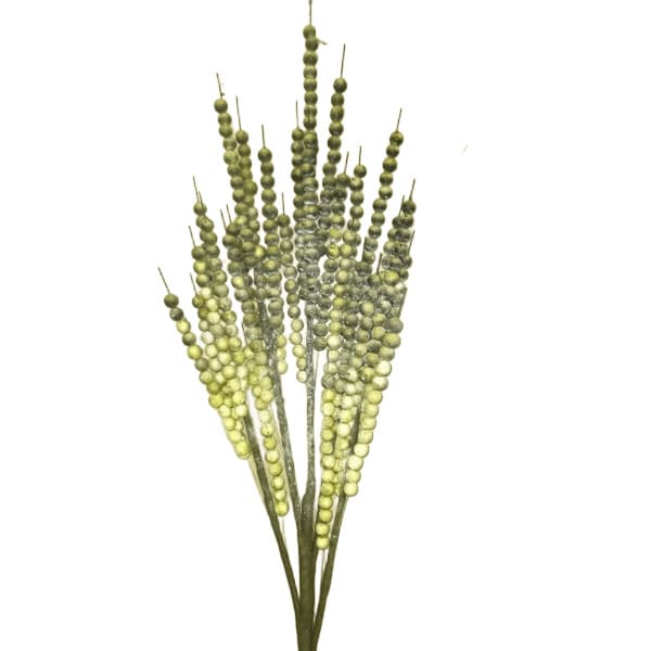 ΚΛΑΔΙ ΠΡΑΣΙΝΟ