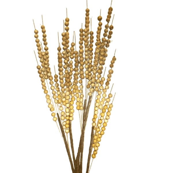 ΚΛΑΔΙ ΜΠΕΖ-ΚΑΦΕ