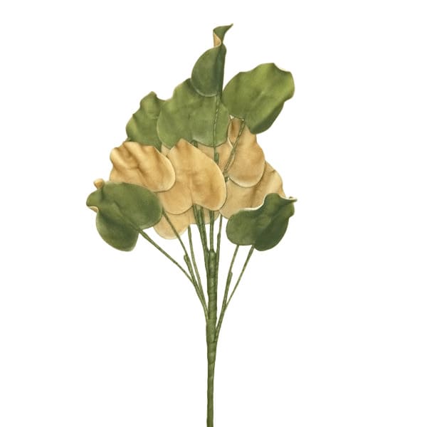 ΚΛΑΔΙ ΜΕ ΦΥΛΛΑ ΠΡΑΣΙΝΑ-ΜΠΕΖ