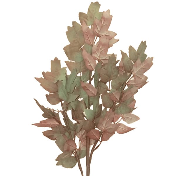 ΚΛΑΔΙ ΜΕ ΦΥΛΛΑ ΠΡΑΣΙΝΟ-ΡΟΖ-ΚΑΦΕ