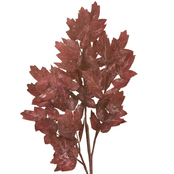 ΚΛΑΔΙ ΜΕ ΦΥΛΛΑ ΜΠΟΡΝΤΩ