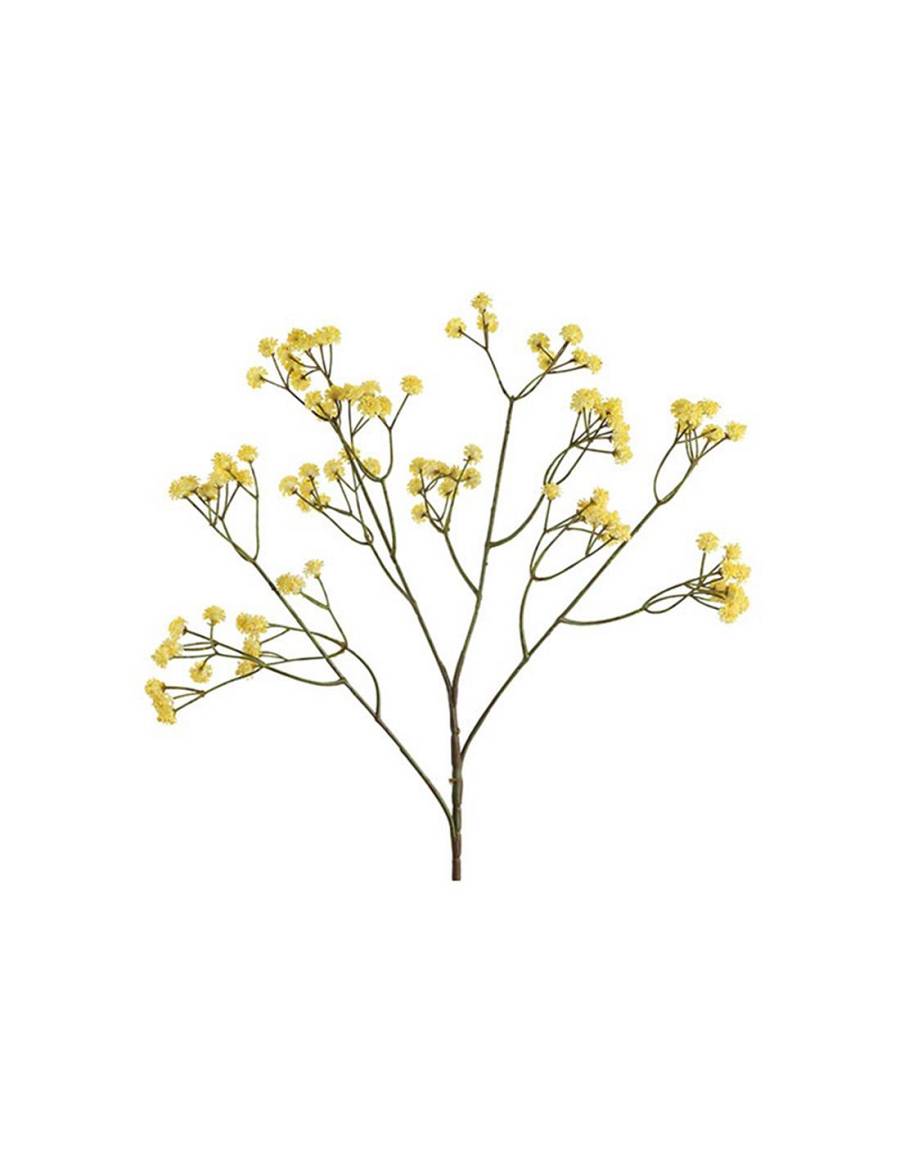 Gypsophilia κίτρινη 61εκ.