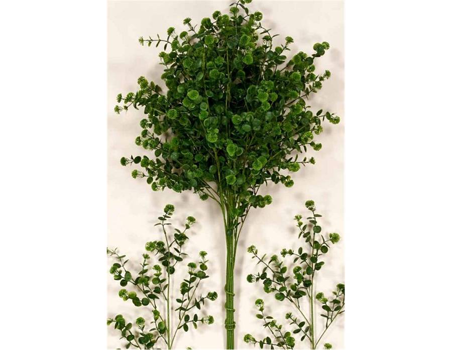 Κλαδί πρασινάδα