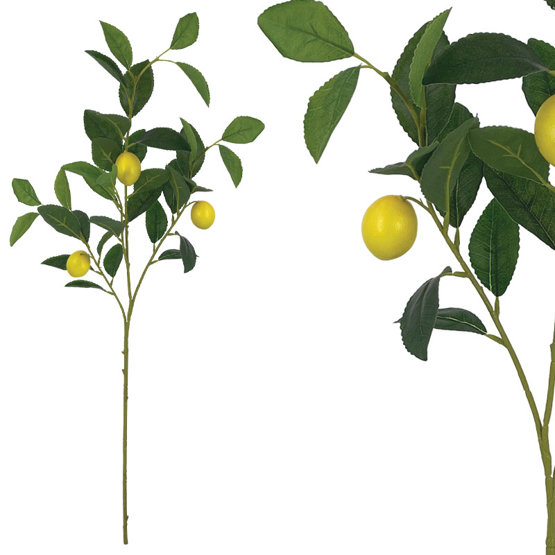 ΚΛΑΔΙ ΔΙΑΚΟΣΜΗΣΗΣ ΛΕΜΟΝΙΑΣ REAL TOUCH ΠΡΑΣΙΝΟ/ΚΙΤΡΙΝΟ ΜΕ ΚΑΡΠΟΥΣ Χ3 - 25x19x81cm 12/120ΚΙΒ