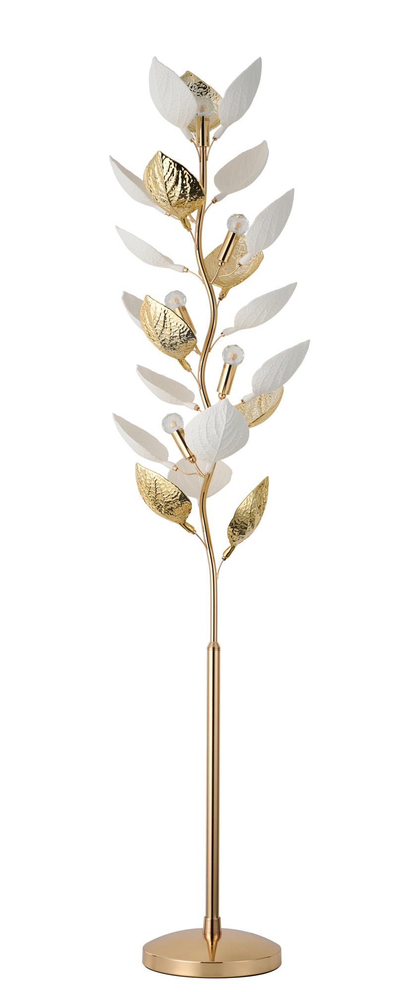 FLC 782 GD ΔΑΠΕΔΟΥ ΜΕ ΦΥΛΛΑ Ε14Χ6