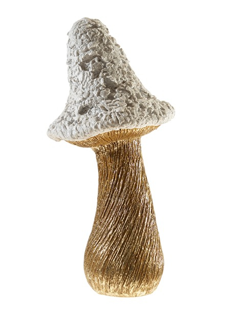 ΠΟΛΥΕΣΤΕΡΙΚΟ ΜΑΝΙΤΑΡΙ ΛΕΥΚΟ ΧΡΥΣΟ 12Χ10,7Χ25,2ΕΚ