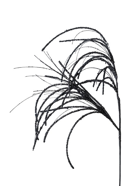 ΧΡΙΣΤΟΥΓΕΝΝΙΑΤΙΚΑ ΚΛΑΔΙΑ ΜΑΥΡΑ 89ΕΚ