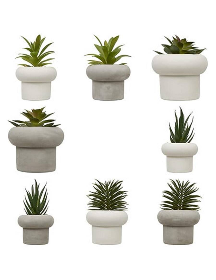 Φυτό σε κεραμικό κασπώ 8σχέδια Η15cm