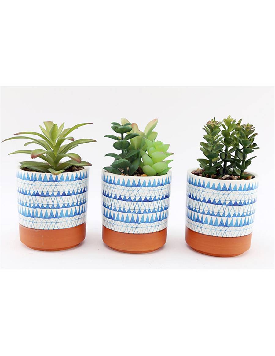 Κασπώ κεραμ.με πρασινάδα 17εκ. 3σχ.