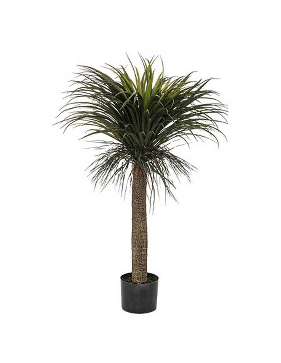 Τροπικό Yucca σε κασπώ Η150cm