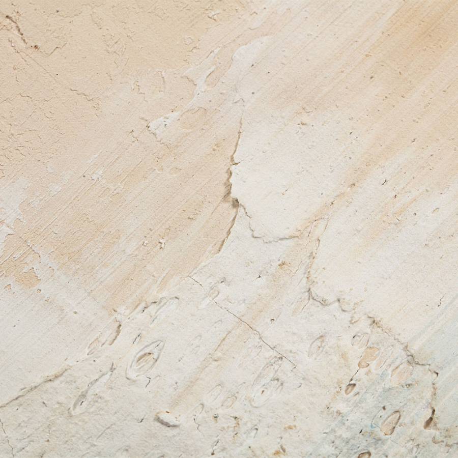 BLACK SEA ΠΙΝΑΚΑΣ ΔΙΑΚΟΣΜΗΤΙΚΟΣ ΜΕ ΚΟΡΝΙΖΑ 80x80x3.8cm ΚΑΜΒΑΣ BEIGE ΜΑΥΡΟ ΞΥΛΟ ΦΥΣΙΚΟ