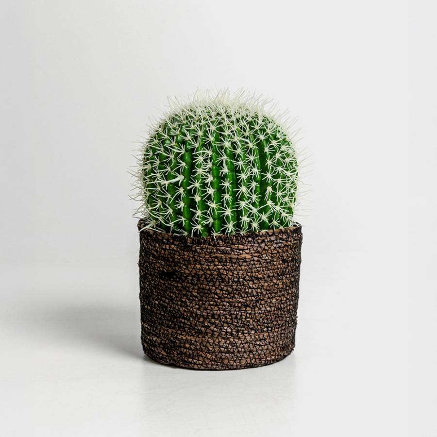 FEROCACTUS ΦΥΤΟ ΤΕΧΝΗΤΟ ΣΕ ΓΛΑΣΤΡΑ 18x18x30cm ΥΦΑΣΜΑ ΠΡΑΣΙΝΟ ΛΕΥΚΟ ΠΛΑΣΤΙΚΟ
