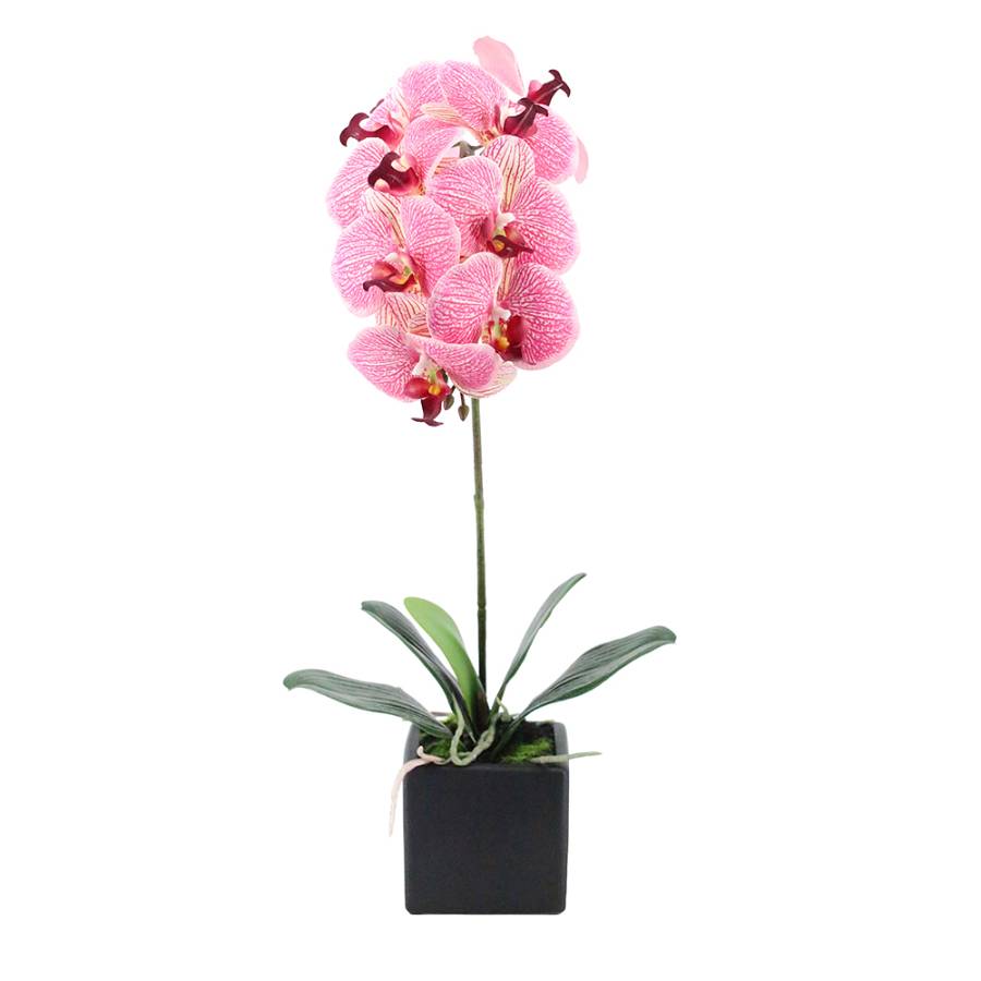 ORCHIDEA ΛΟΥΛΟΥΔΙ ΤΕΧΝΗΤΟ ΣΕ ΓΛΑΣΤΡΑ 63cm PEVA ΡΟΖ ΚΙΤΡΙΝΟ ΚΕΡΑΜΙΚΟ