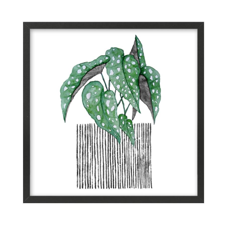 BILIA ΠΙΝΑΚΑΣ 50x50x2cm MDF ΠΟΛΥΧΡΩΜΟ ΧΑΡΤΙ ΜΑΥΡΟ