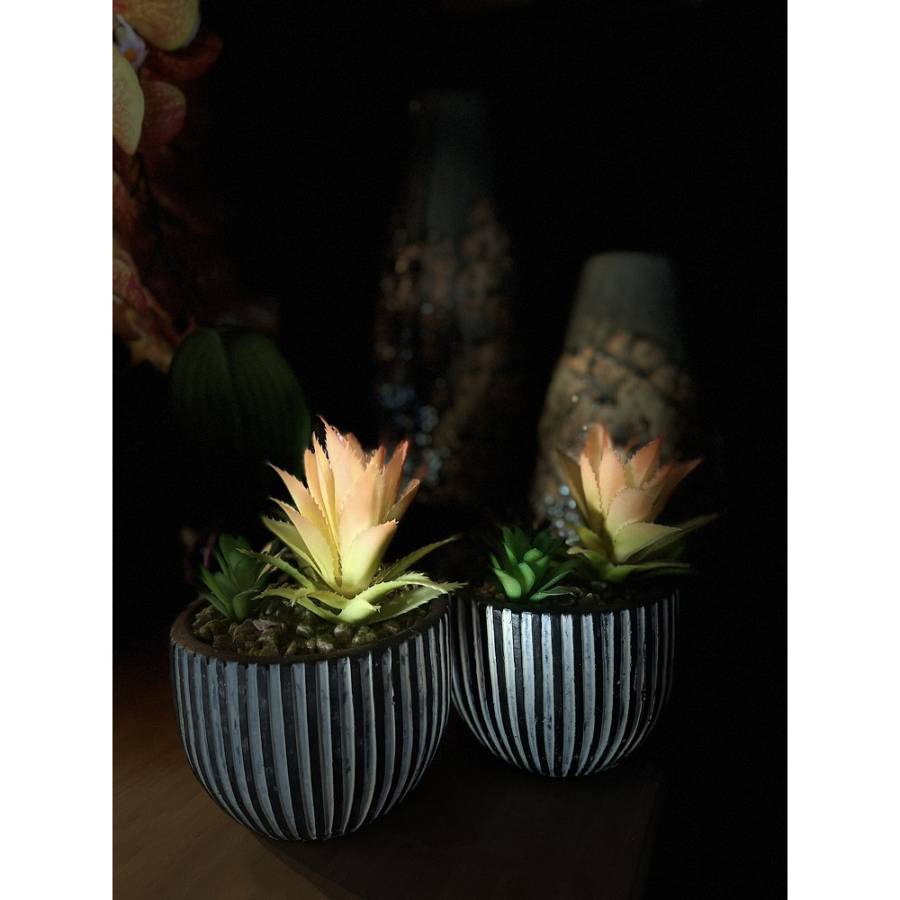 LAKHSMI 4 ΦΥΤΟ ΤΕΧΝΗΤΟ ΣΕ ΚΑΣΠΩ 13x13x18.5cm POLYRESIN ΜΑΥΡΟ ΛΕΥΚΟ ΠΡΑΣΙΝΟ