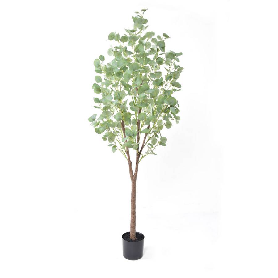 SILVER DOLLAR EUCALYPTUS ΔΕΝΤΡΟ ΤΕΧΝΗΤΟ ΣΕ ΓΛΑΣΤΡΑ 180cm PE ΠΡΑΣΙΝΟ ΜΕΤΑΞΩΤΟ ΥΦΑΣΜΑ
