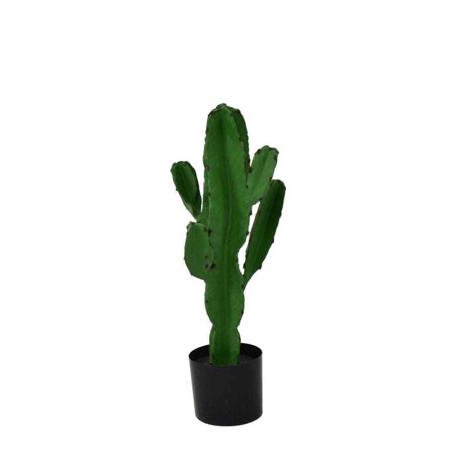 CANDELABRA CACTUS ΦΥΤΟ ΤΕΧΝΗΤΟ ΣΕ ΓΛΑΣΤΡΑ 70cm PU ΠΡΑΣΙΝΟ