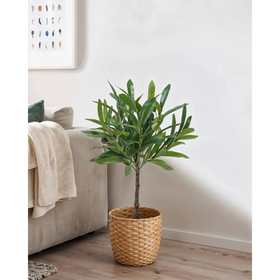 OLIA ΦΥΤΟ ΤΕΧΝΗΤΟ ΣΕ ΓΛΑΣΤΡΑ 45cm PVC ΠΡΑΣΙΝΟ PU