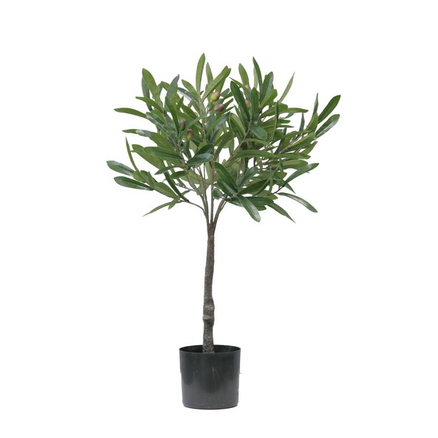 OLIA ΦΥΤΟ ΤΕΧΝΗΤΟ ΣΕ ΓΛΑΣΤΡΑ 75cm PVC ΠΡΑΣΙΝΟ PU