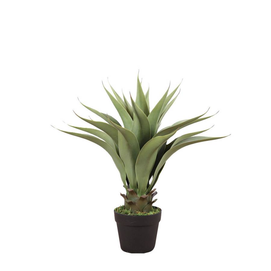 AGAVE ΦΥΤΟ ΤΕΧΝΗΤΟ ΣΕ ΓΛΑΣΤΡΑ 55cm PVC ΠΡΑΣΙΝΟ ΜΑΥΡΟ ΤΣΙΜΕΝΤΟ