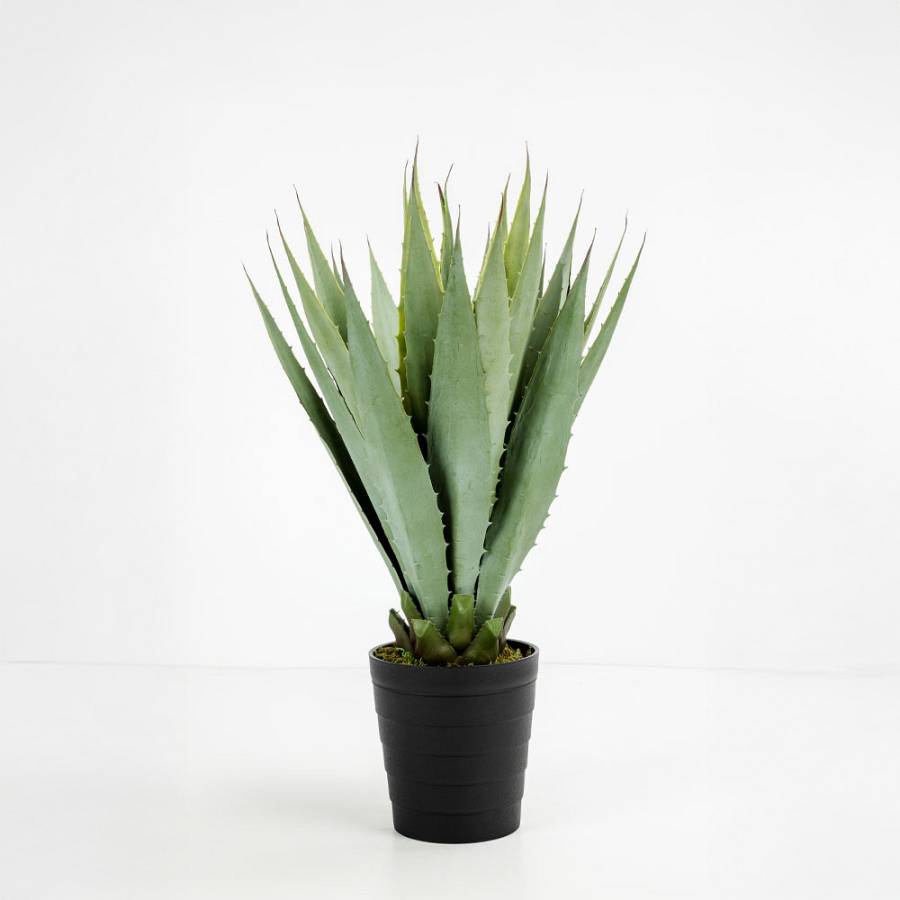 AGAVE ΦΥΤΟ ΤΕΧΝΗΤΟ ΣΕ ΓΛΑΣΤΡΑ 58cm PVC ΠΡΑΣΙΝΟ ΜΑΥΡΟ ΤΣΙΜΕΝΤΟ