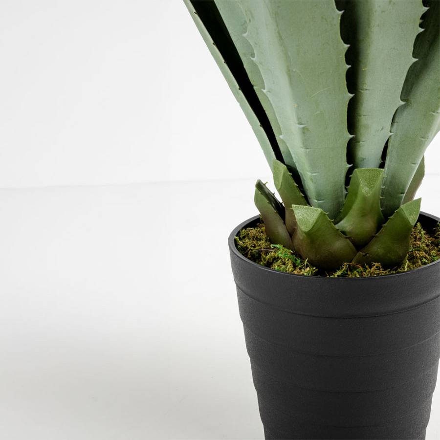 AGAVE ΦΥΤΟ ΤΕΧΝΗΤΟ ΣΕ ΓΛΑΣΤΡΑ 58cm PVC ΠΡΑΣΙΝΟ ΜΑΥΡΟ ΤΣΙΜΕΝΤΟ