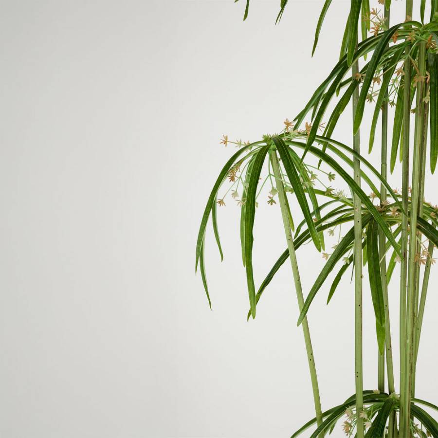 WINDMILL ΔΕΝΤΡΟ ΤΕΧΝΗΤΟ ΣΕ ΓΛΑΣΤΡΑ 160cm PVC ΠΡΑΣΙΝΟ ΜΑΥΡΟ ΤΣΙΜΕΝΤΟ