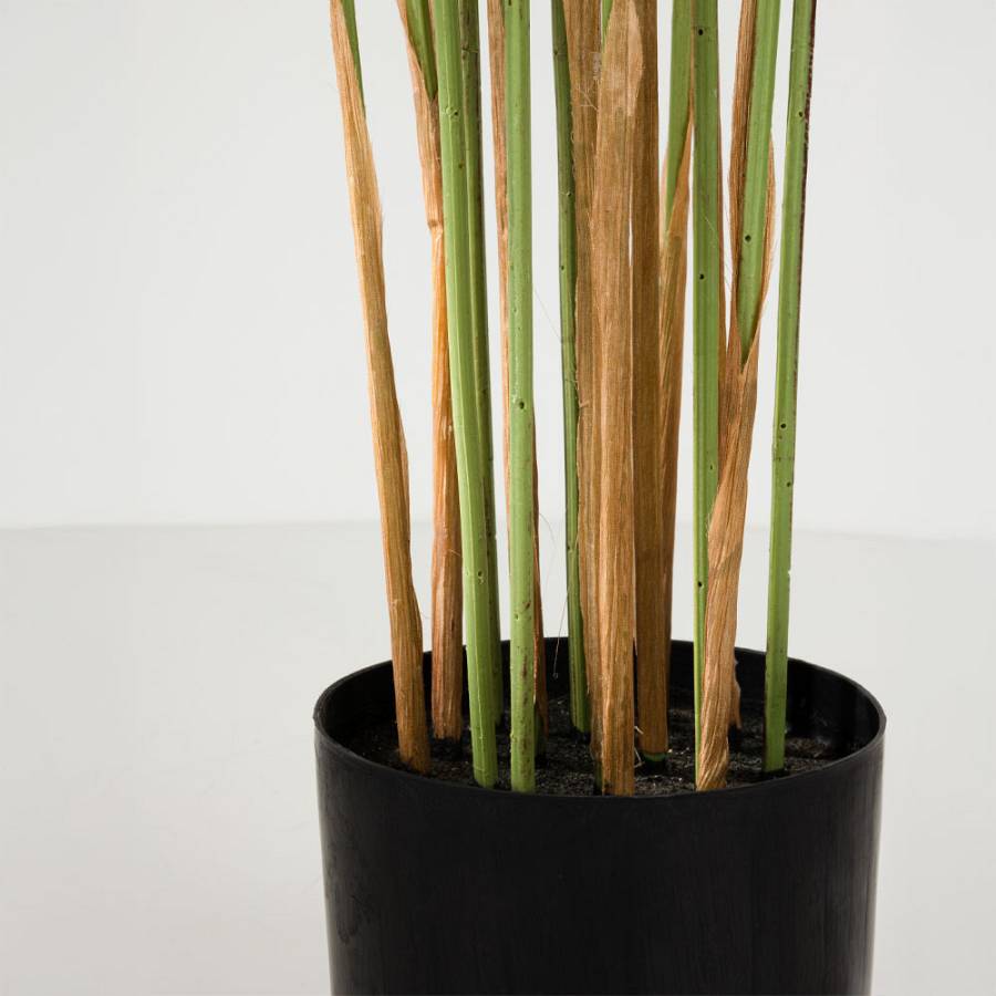 WINDMILL ΔΕΝΤΡΟ ΤΕΧΝΗΤΟ ΣΕ ΓΛΑΣΤΡΑ 160cm PVC ΠΡΑΣΙΝΟ ΜΑΥΡΟ ΤΣΙΜΕΝΤΟ