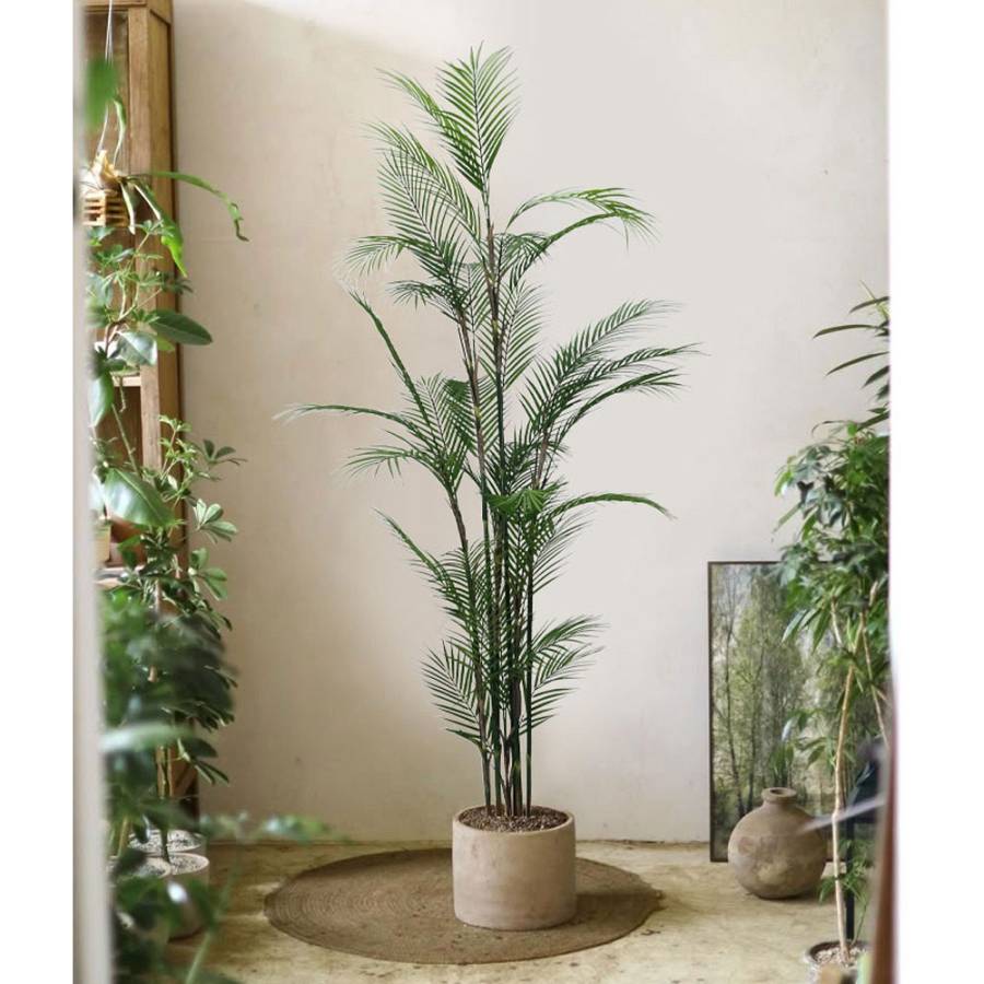 MAJESTY PALM ΔΕΝΤΡΟ ΤΕΧΝΗΤΟ ΣΕ ΓΛΑΣΤΡΑ 180cm PVC ΠΡΑΣΙΝΟ ΜΑΥΡΟ ΤΣΙΜΕΝΤΟ