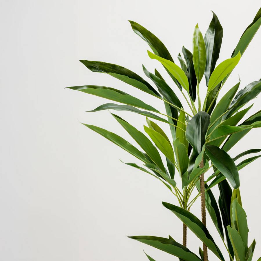 VELVET TREE ΔΕΝΤΡΟ ΤΕΧΝΗΤΟ ΣΕ ΓΛΑΣΤΡΑ 120cm PVC ΠΡΑΣΙΝΟ ΜΑΥΡΟ ΤΣΙΜΕΝΤΟ