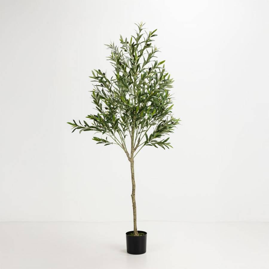 OLIVE TREE ΔΕΝΤΡΟ ΤΕΧΝΗΤΟ ΣΕ ΓΛΑΣΤΡΑ 180cm ΥΦΑΣΜΑ ΠΡΑΣΙΝΟ PVC