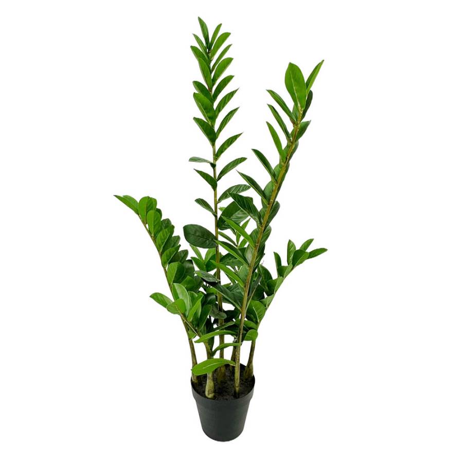 ZAMIA ΦΥΤΟ ΤΕΧΝΗΤΟ ΣΕ ΓΛΑΣΤΡΑ 95cm ΥΦΑΣΜΑ ΠΡΑΣΙΝΟ PVC