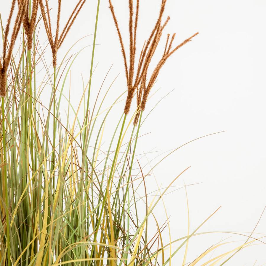 DRAGON BEARD ΦΥΤΟ ΤΕΧΝΗΤΟ 90cm PVC ΠΡΑΣΙΝΟ ΚΑΦΕ