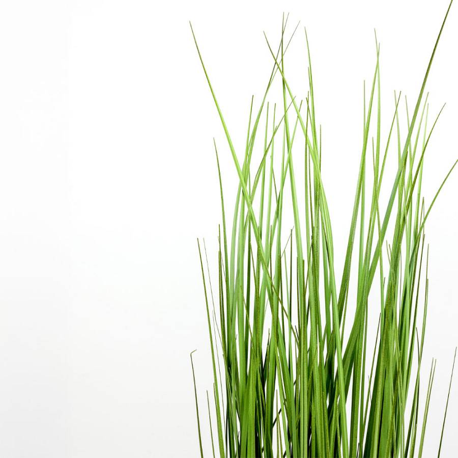 PURE GRASS ΦΥΤΟ ΤΕΧΝΗΤΟ ΣΕ ΓΛΑΣΤΡΑ 90cm PVC ΠΡΑΣΙΝΟ