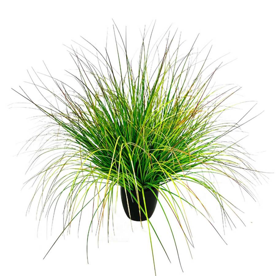 BENT GRASS ΦΥΤΟ ΤΕΧΝΗΤΟ ΣΕ ΓΛΑΣΤΡΑ 90cm PVC ΠΡΑΣΙΝΟ