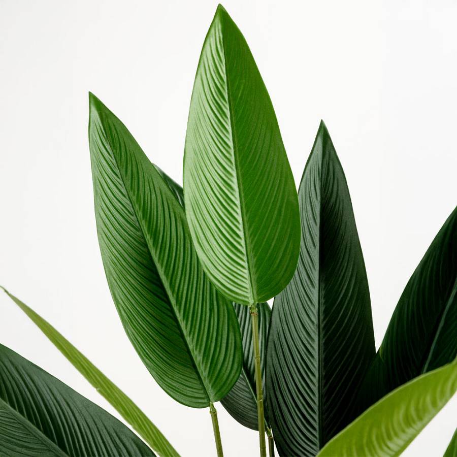 PARADISE BIRD ΔΕΝΤΡΟ ΤΕΧΝΗΤΟ ΣΕ ΓΛΑΣΤΡΑ 160cm POLYESTER ΠΡΑΣΙΝΟ