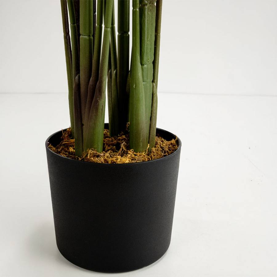 PARADISE BIRD ΔΕΝΤΡΟ ΤΕΧΝΗΤΟ ΣΕ ΓΛΑΣΤΡΑ 160cm POLYESTER ΠΡΑΣΙΝΟ