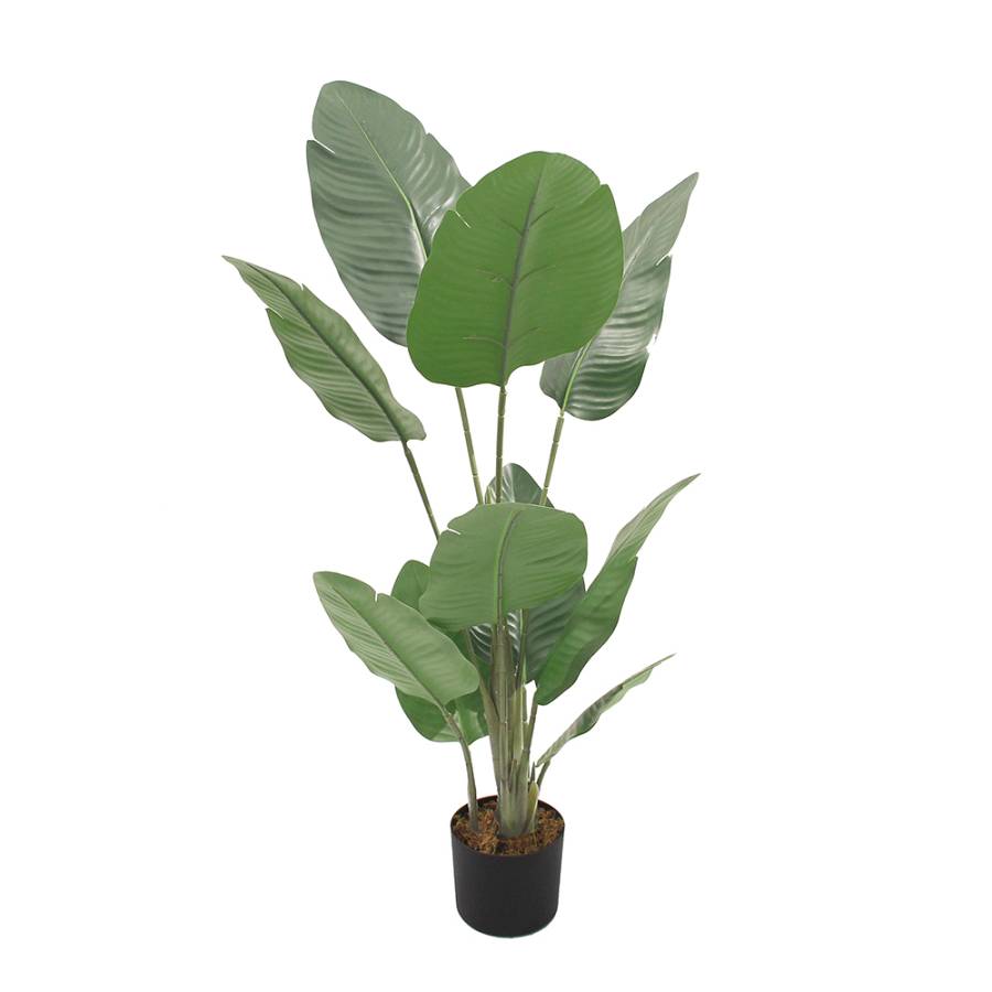 BANANA ΔΕΝΤΡΟ ΤΕΧΝΗΤΟ ΣΕ ΓΛΑΣΤΡΑ 100cm PEVA ΠΡΑΣΙΝΟ