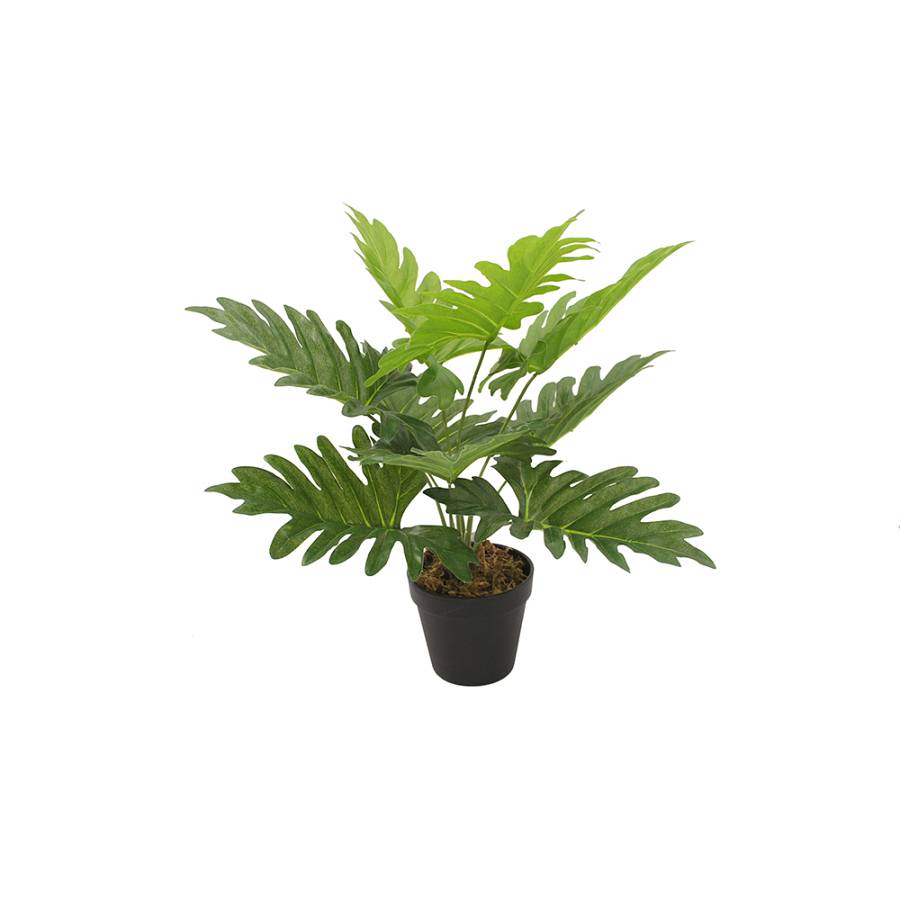 PHILODENDRON ΦΥΤΟ ΤΕΧΝΗΤΟ ΣΕ ΓΛΑΣΤΡΑ 45cm PEVA ΠΡΑΣΙΝΟ